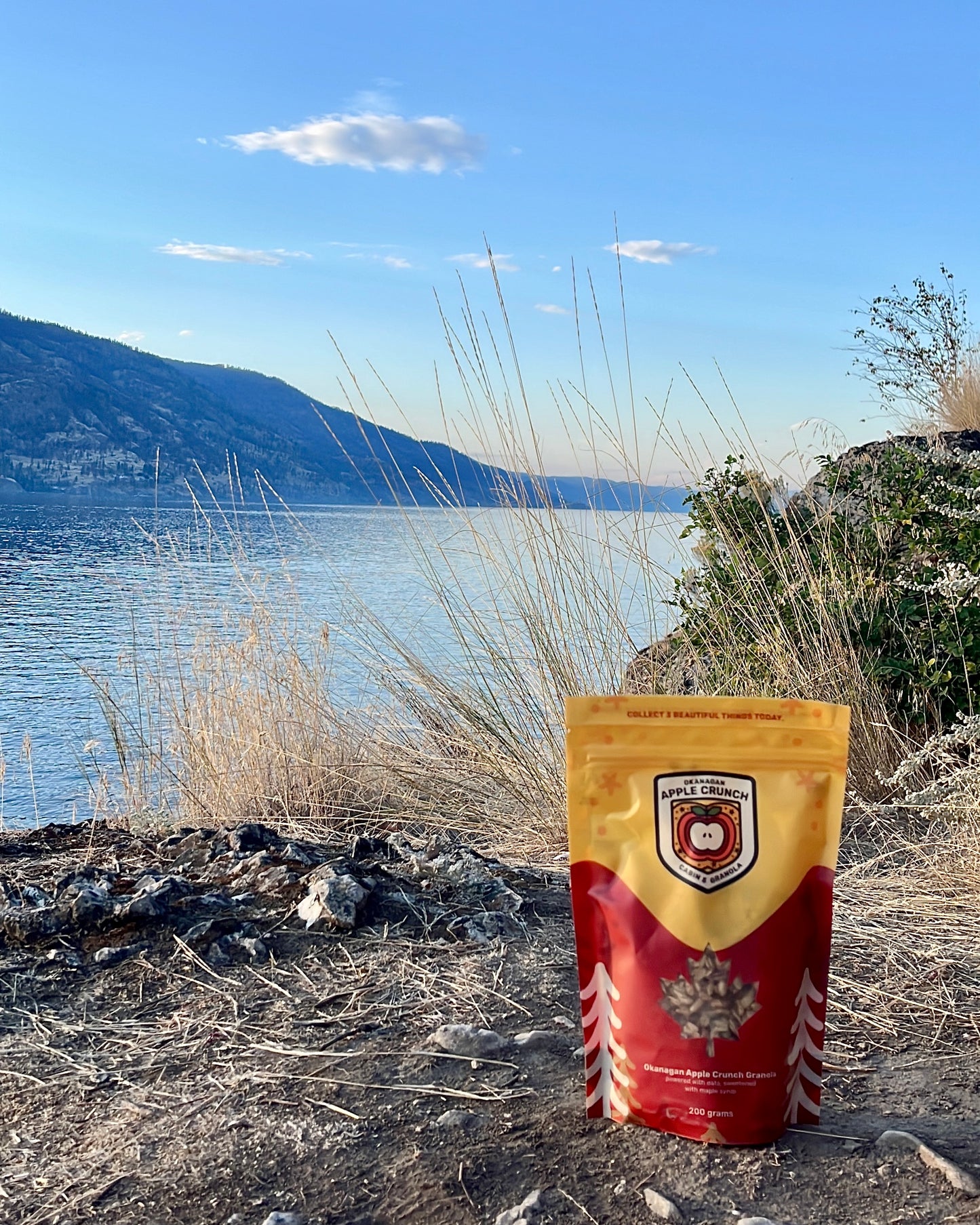 Okanagan Apple Crunch